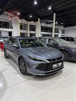 بي واي دي كوين L DM-i